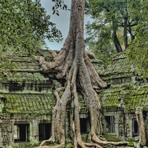 acl-travel-taprohm